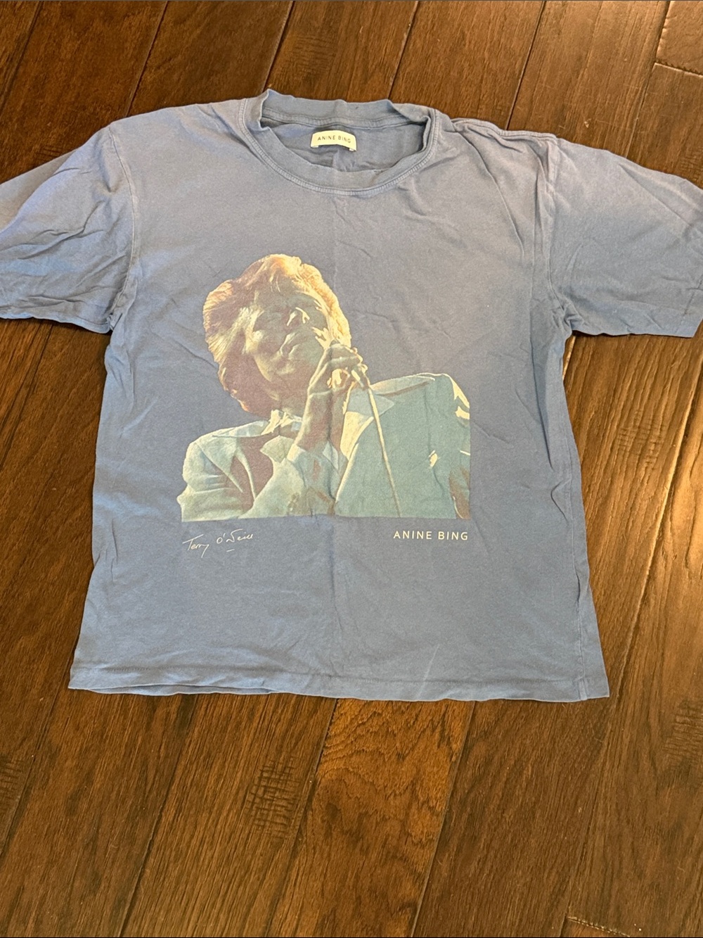 Anine Bing women’s David Bowie Graphic Tee in Light Blue